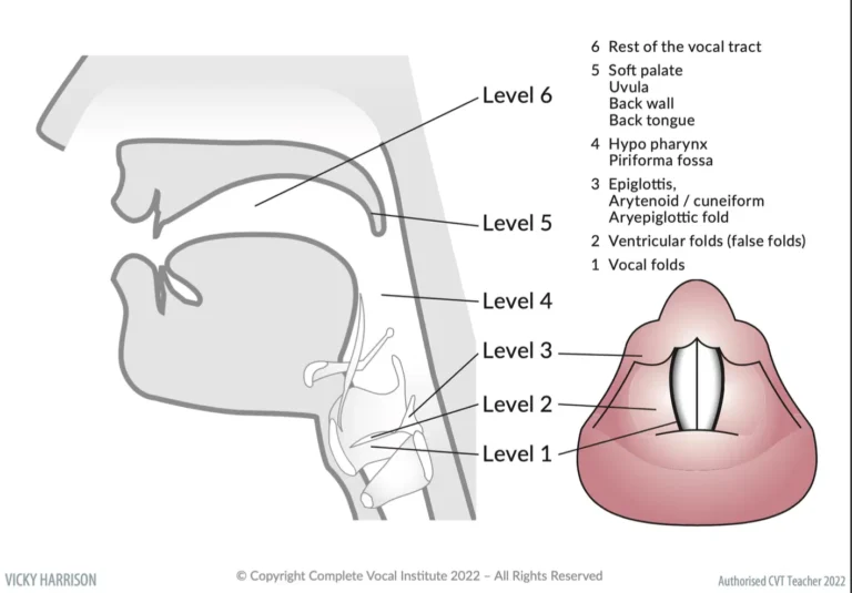 Vocal Effects: The Emotional Power Behind the Voice